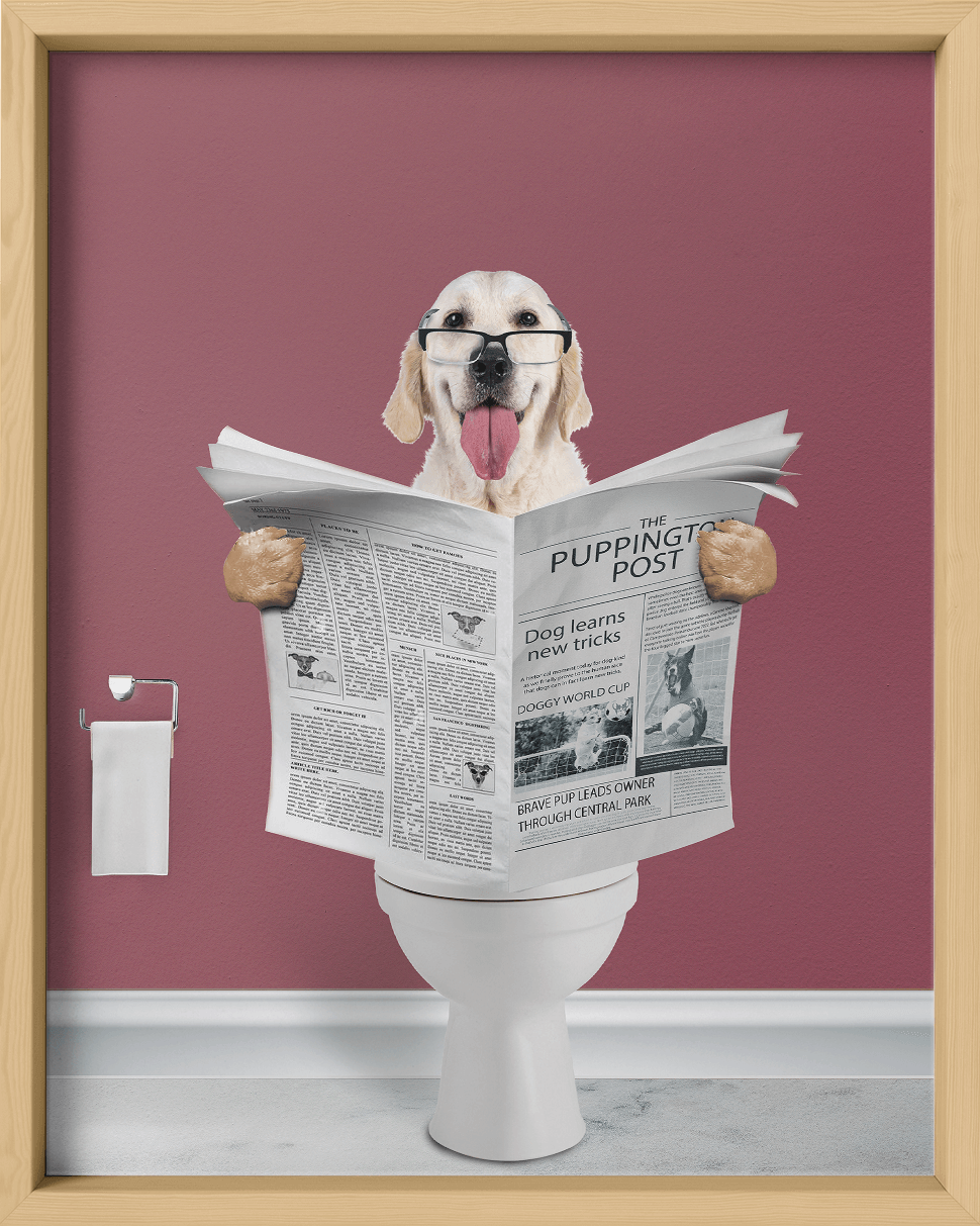 Reading The News - Fairlight Co