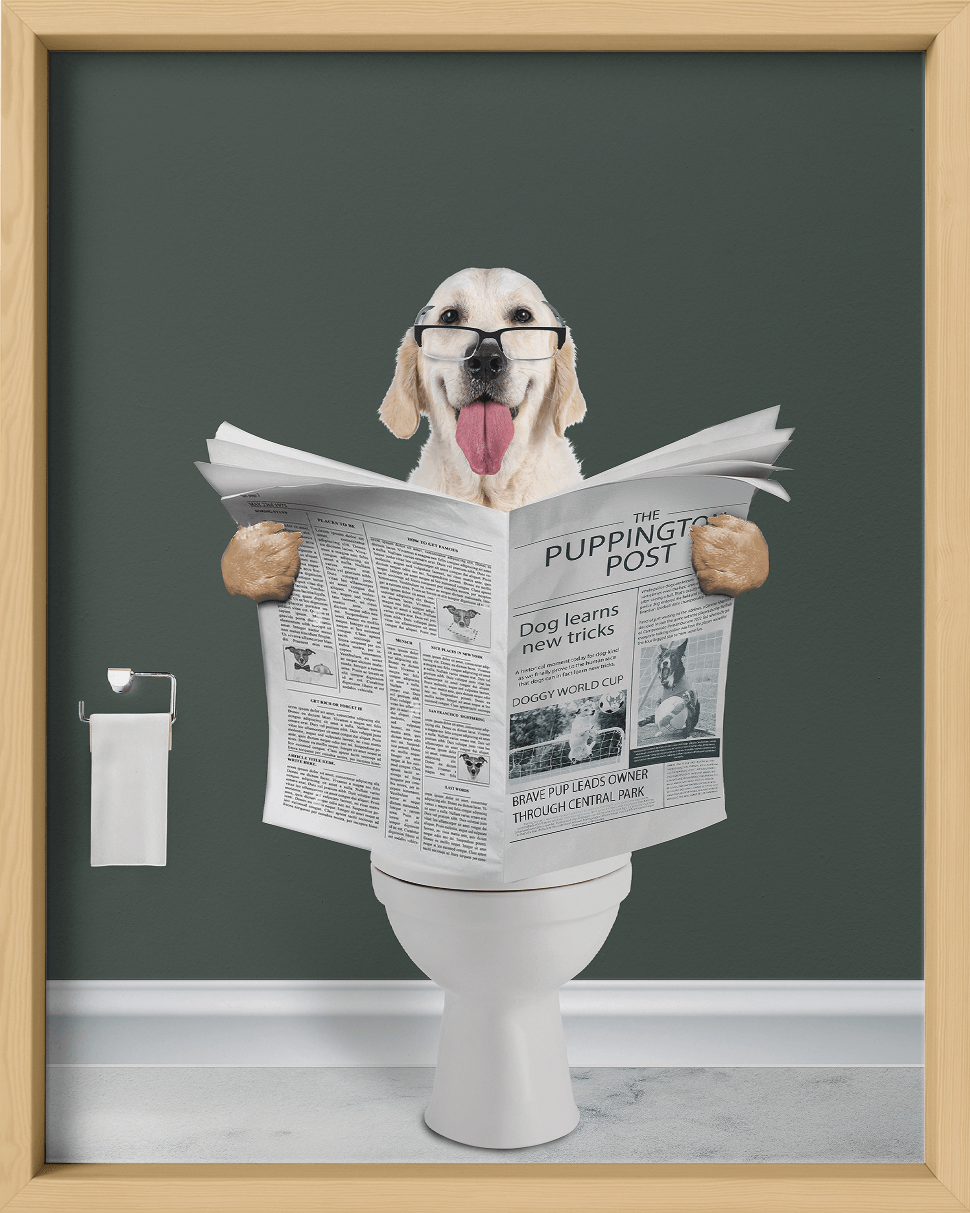 Reading The News - Fairlight Co