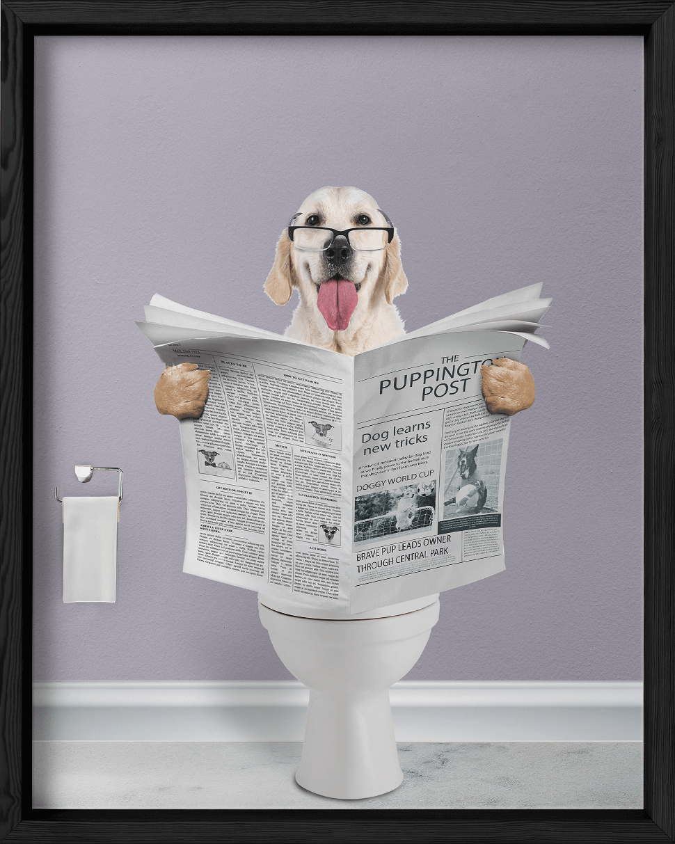 Reading The News - Fairlight Co