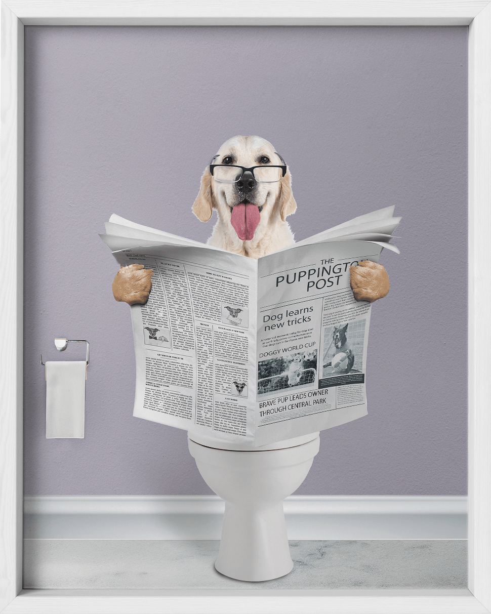 Reading The News - Fairlight Co