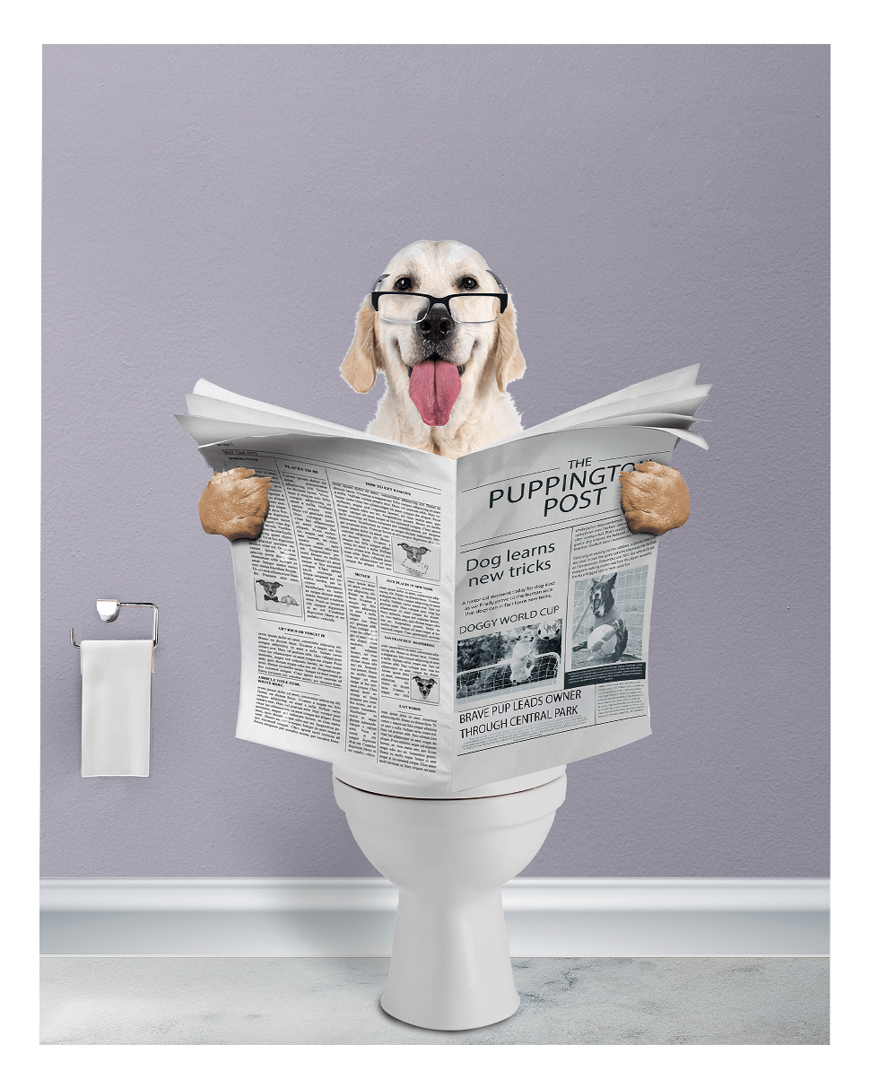 Reading The News - Fairlight Co