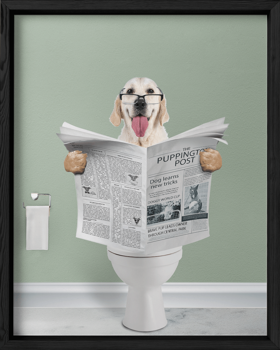 Reading The News - Fairlight Co