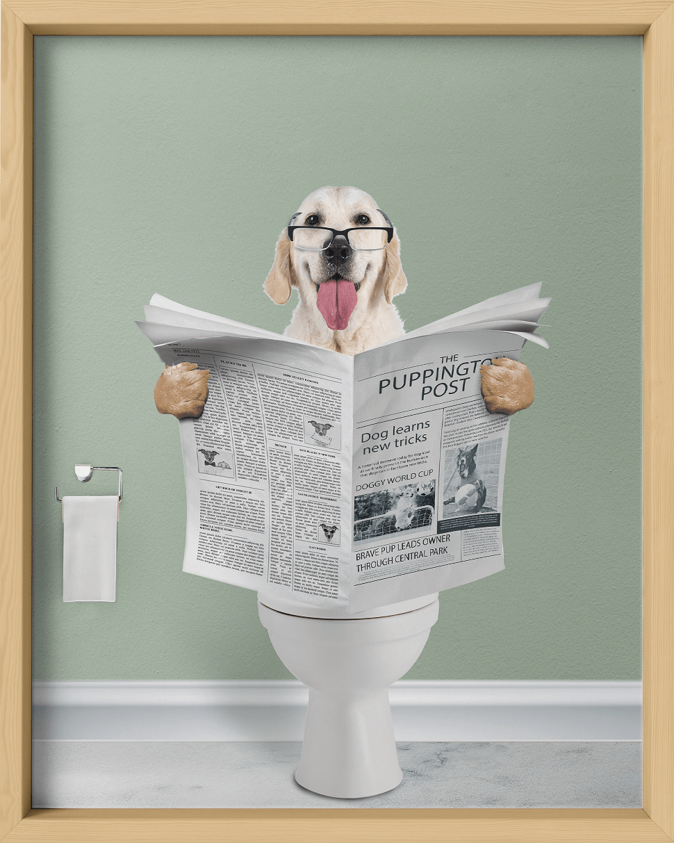 Reading The News - Fairlight Co