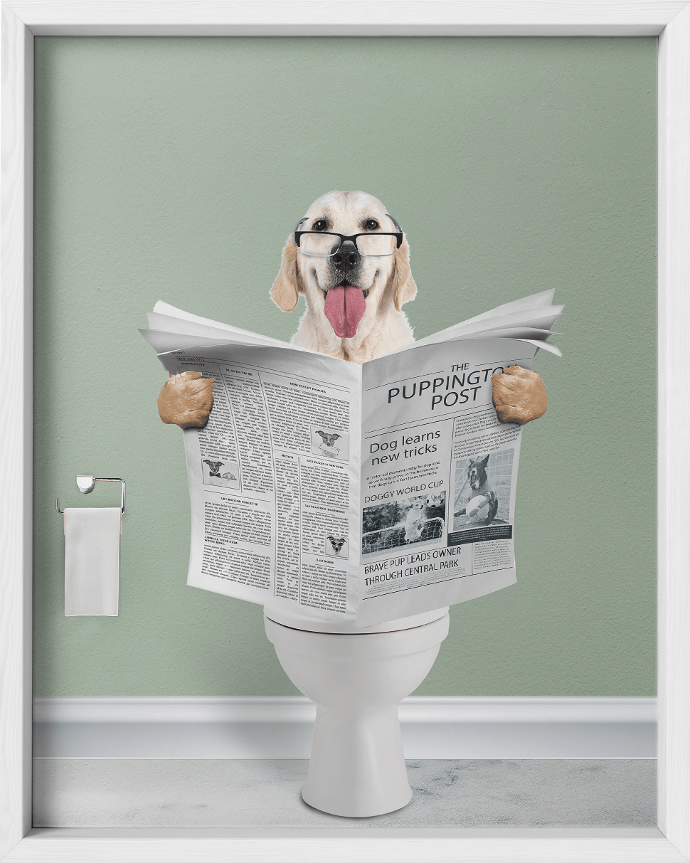 Reading The News - Fairlight Co