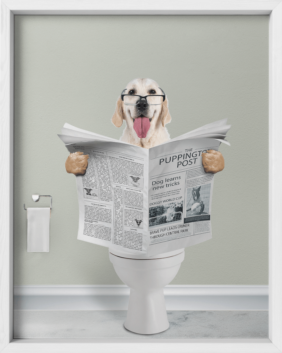 Reading The News - Fairlight Co