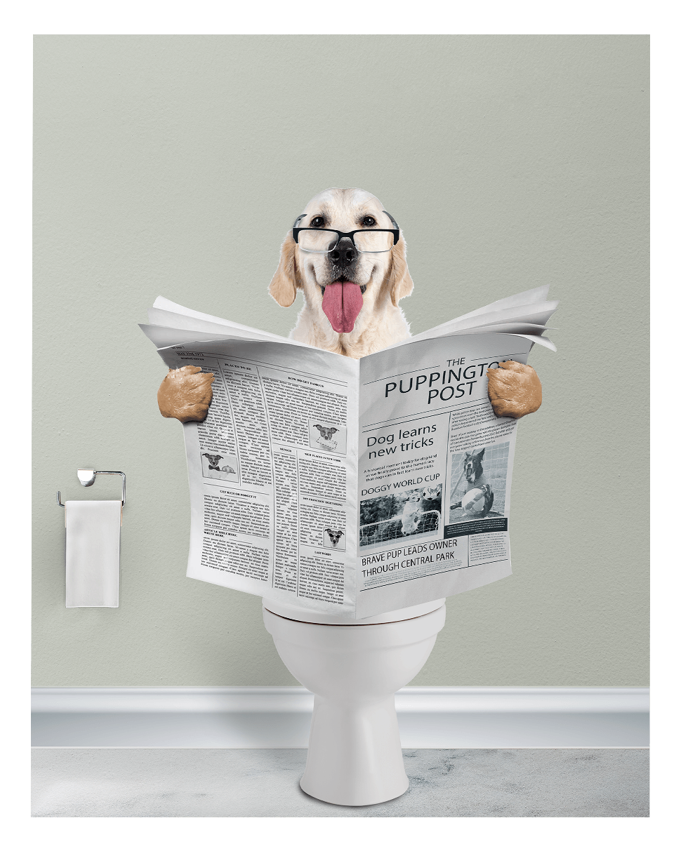 Reading The News - Fairlight Co