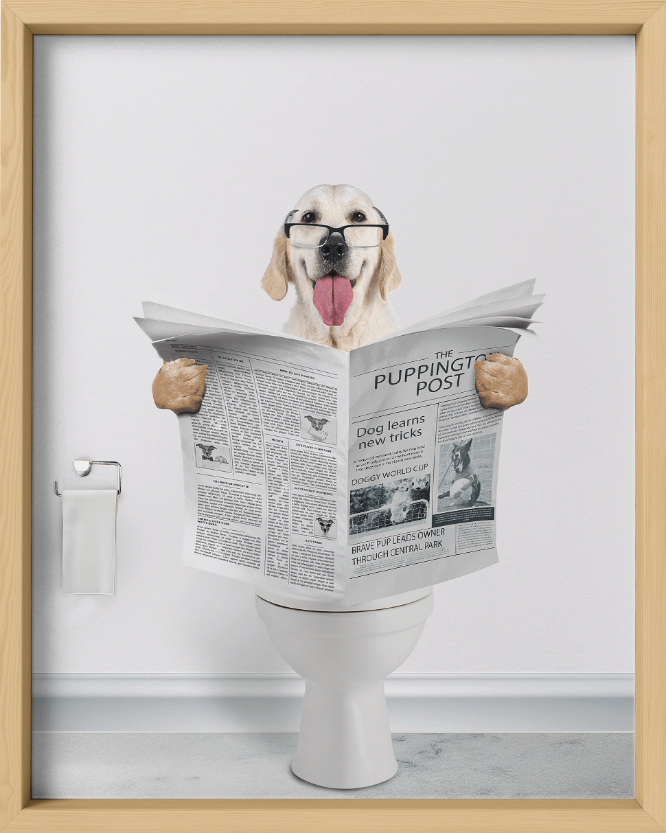 Reading The News - Fairlight Co