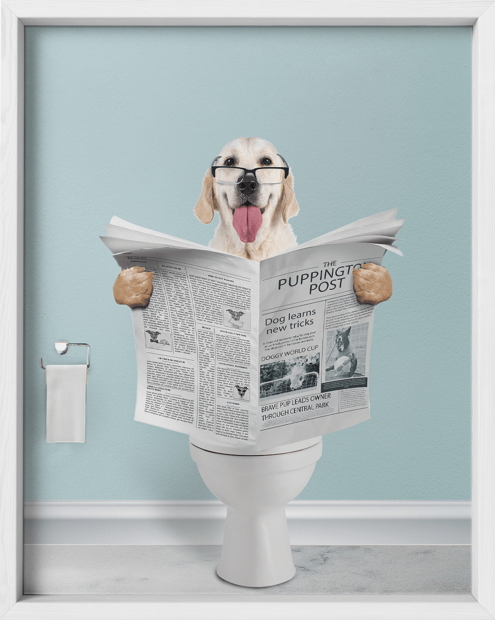 Reading The News - Fairlight Co