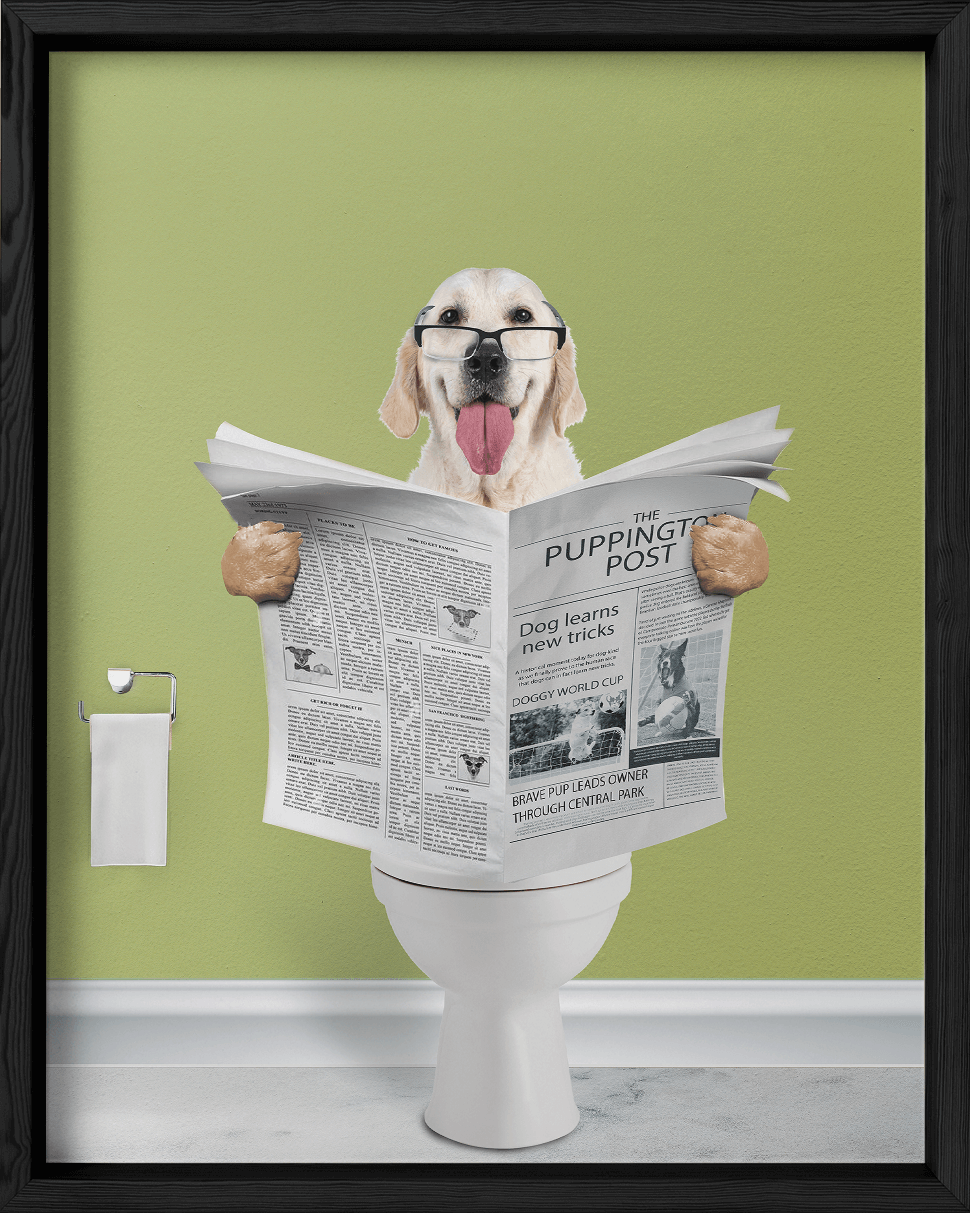 Reading The News - Fairlight Co