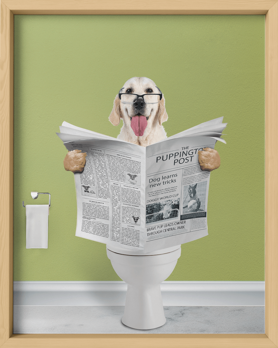 Reading The News - Fairlight Co