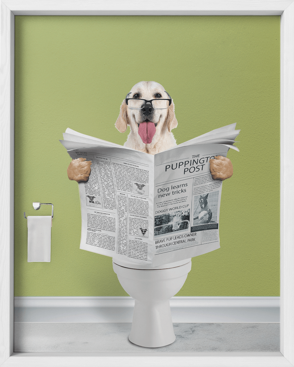 Reading The News - Fairlight Co