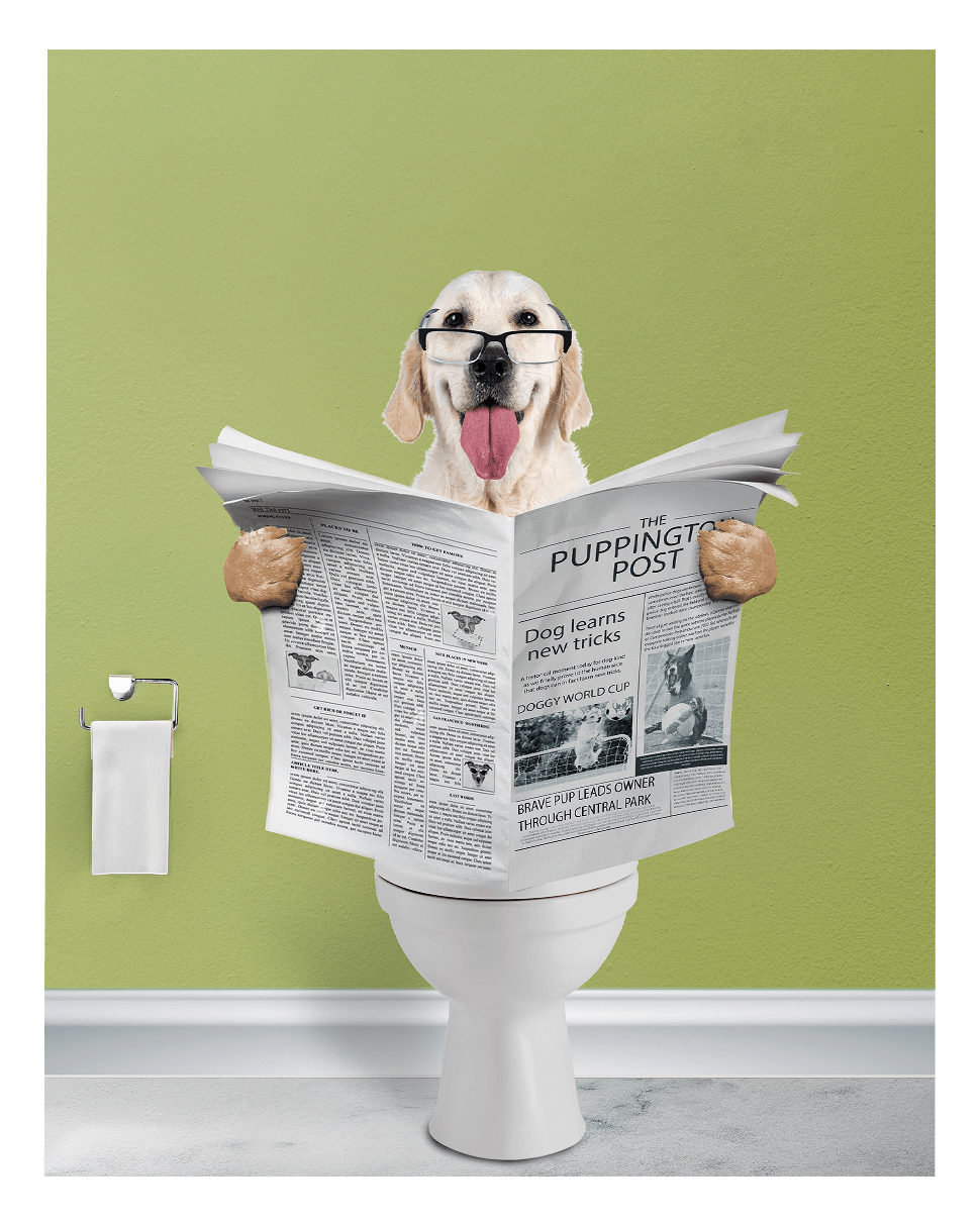 Reading The News - Fairlight Co