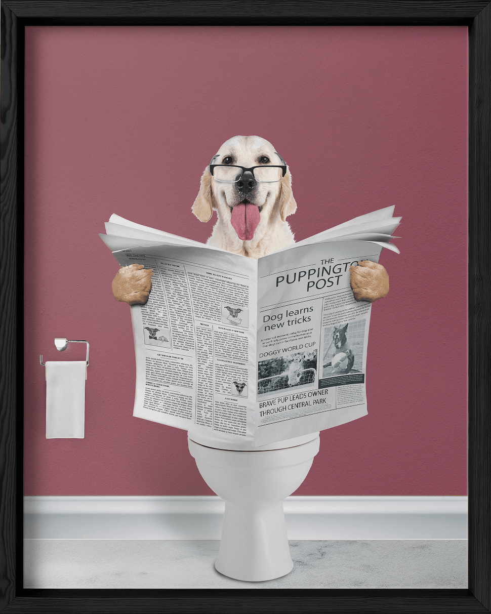 Reading The News - Fairlight Co