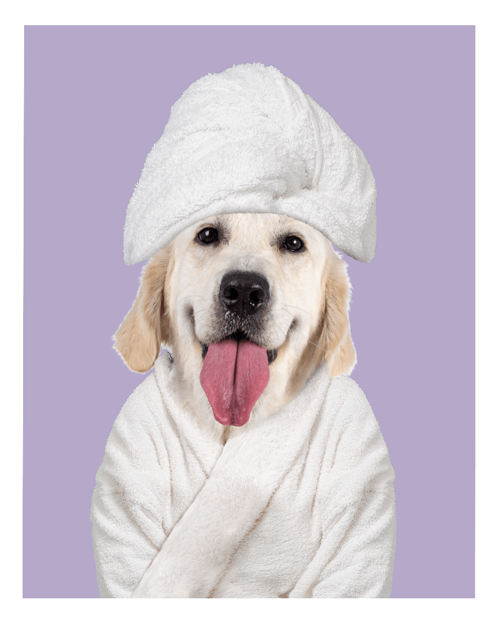 Custom Spa Towel Pet Portrait - Fairlight Co