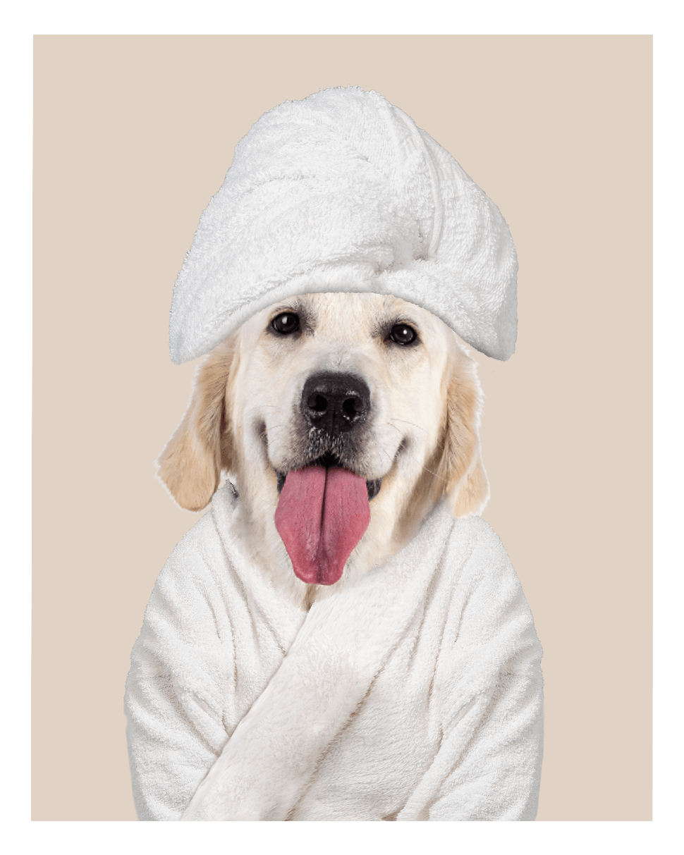 Custom Spa Towel Pet Portrait - Fairlight Co
