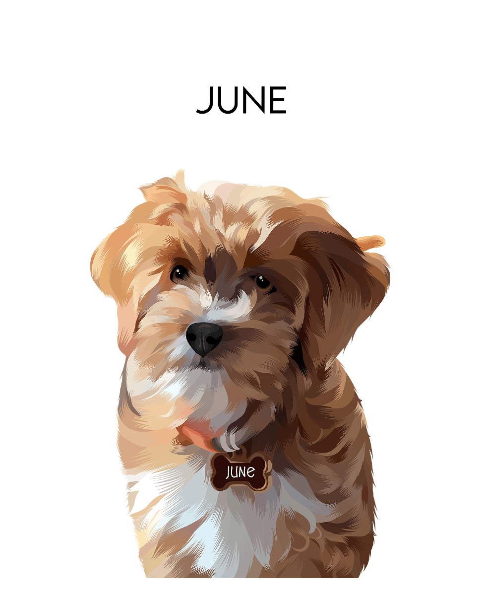 Custom Pet Portraits - Fairlight Co
