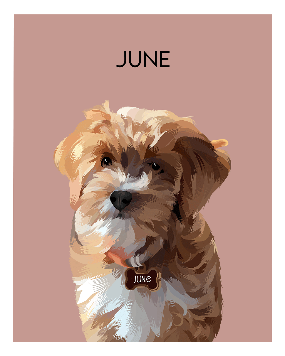 Custom Pet Portraits - Fairlight Co