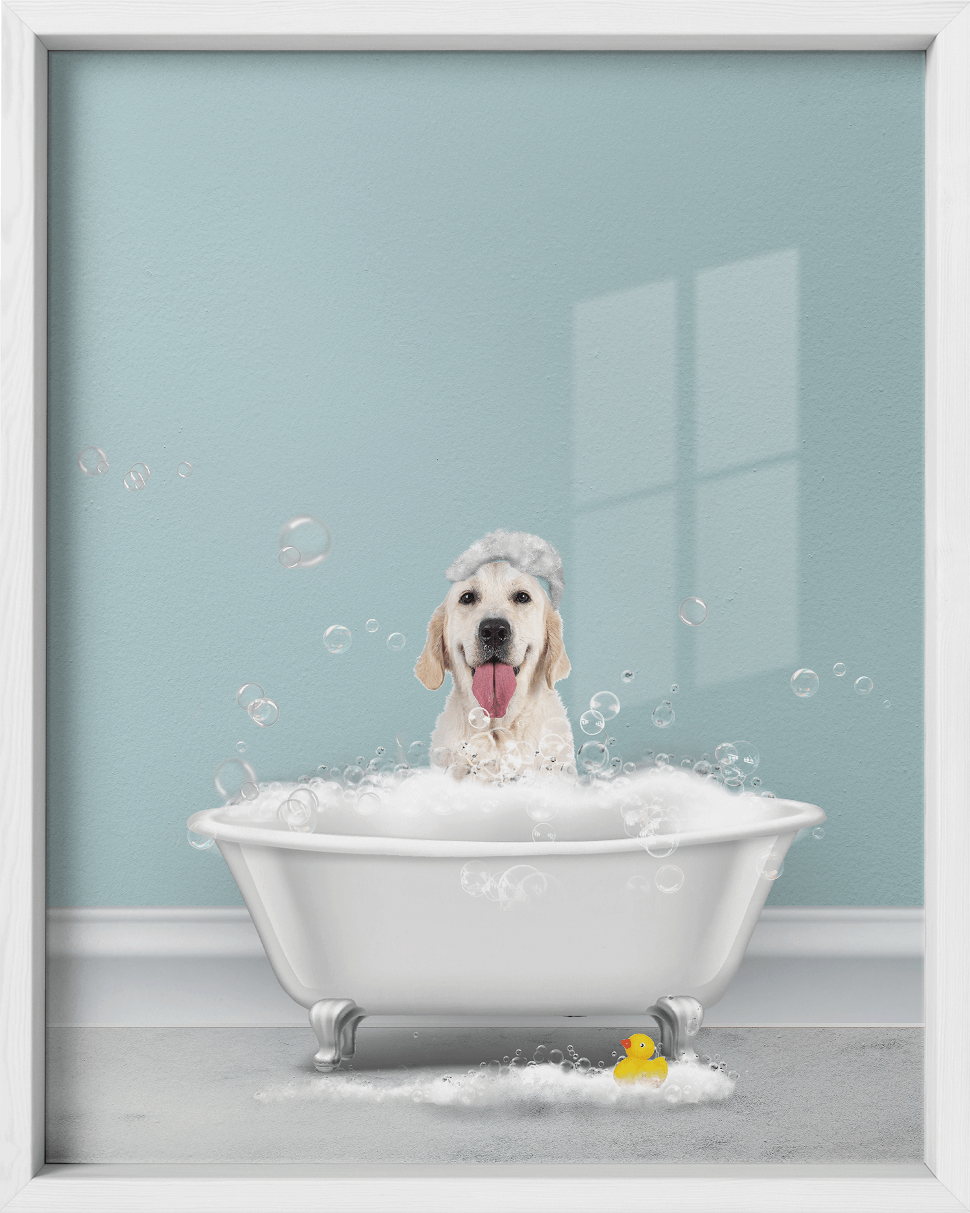 Design Your Custom Pet Spa Retreat Portrait Fairlight Collective