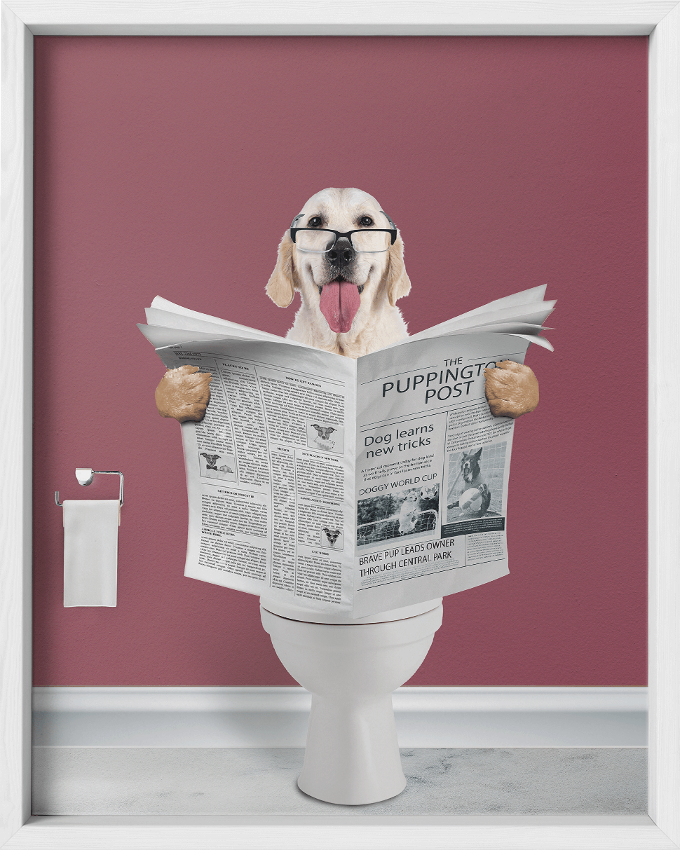 Reading The News - Fairlight Co