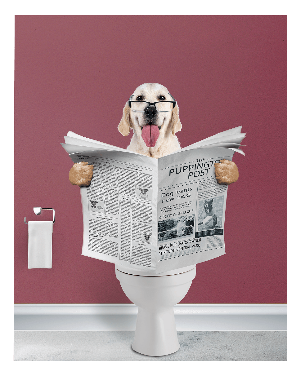 Reading The News - Fairlight Co