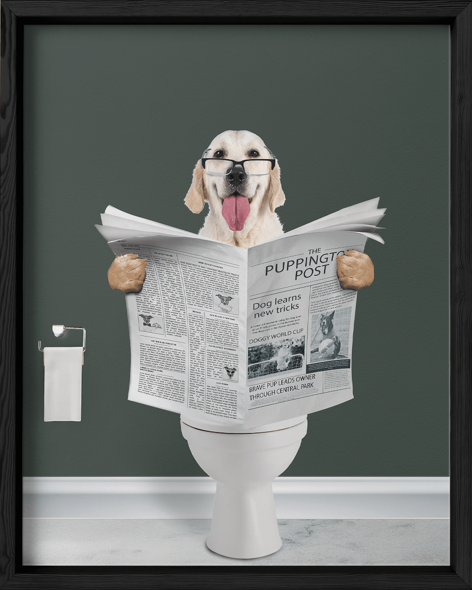 Reading The News - Fairlight Co