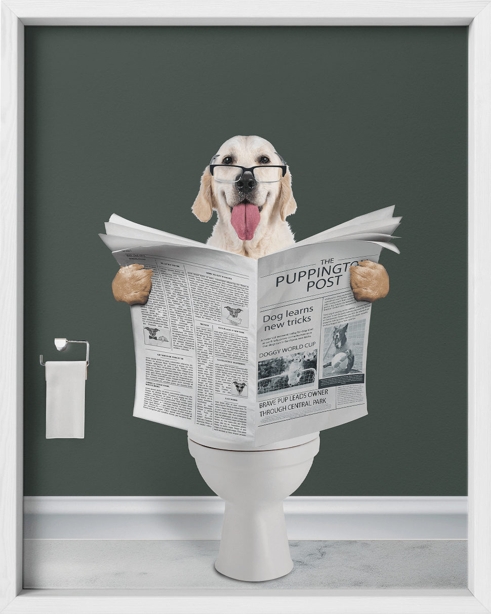 Reading The News - Fairlight Co