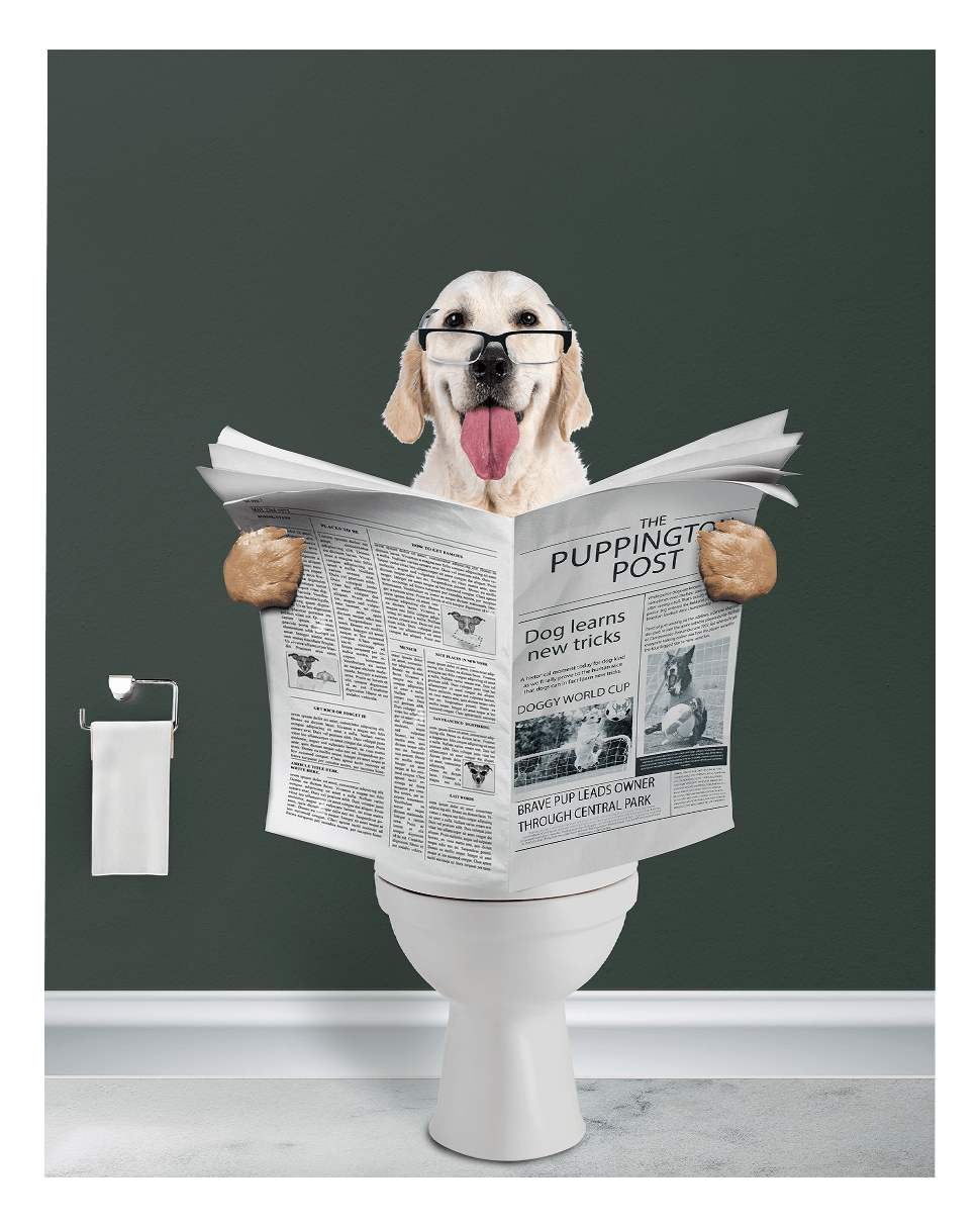 Reading The News - Fairlight Co