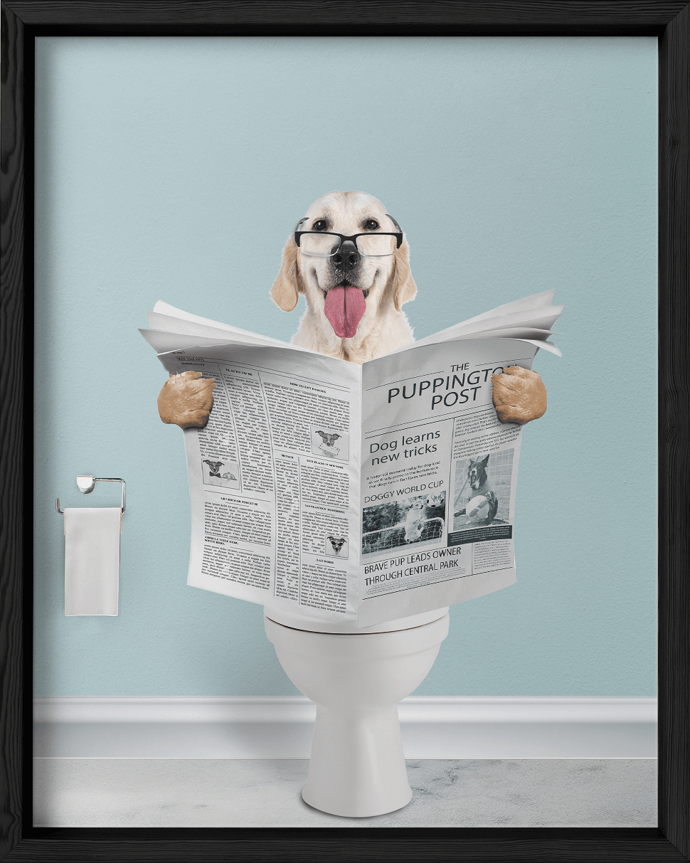 Reading The News - Fairlight Co