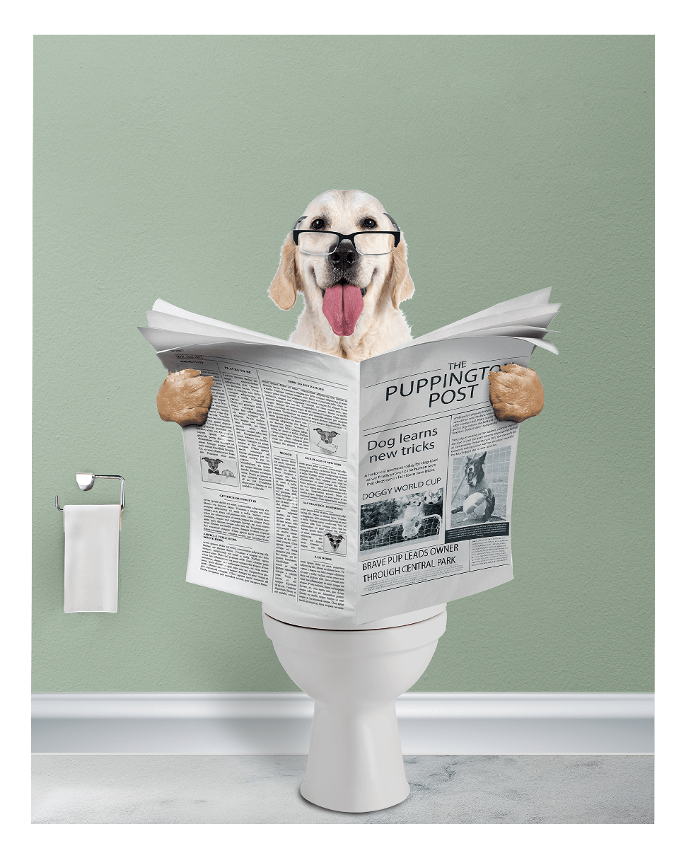 Reading The News - Fairlight Co