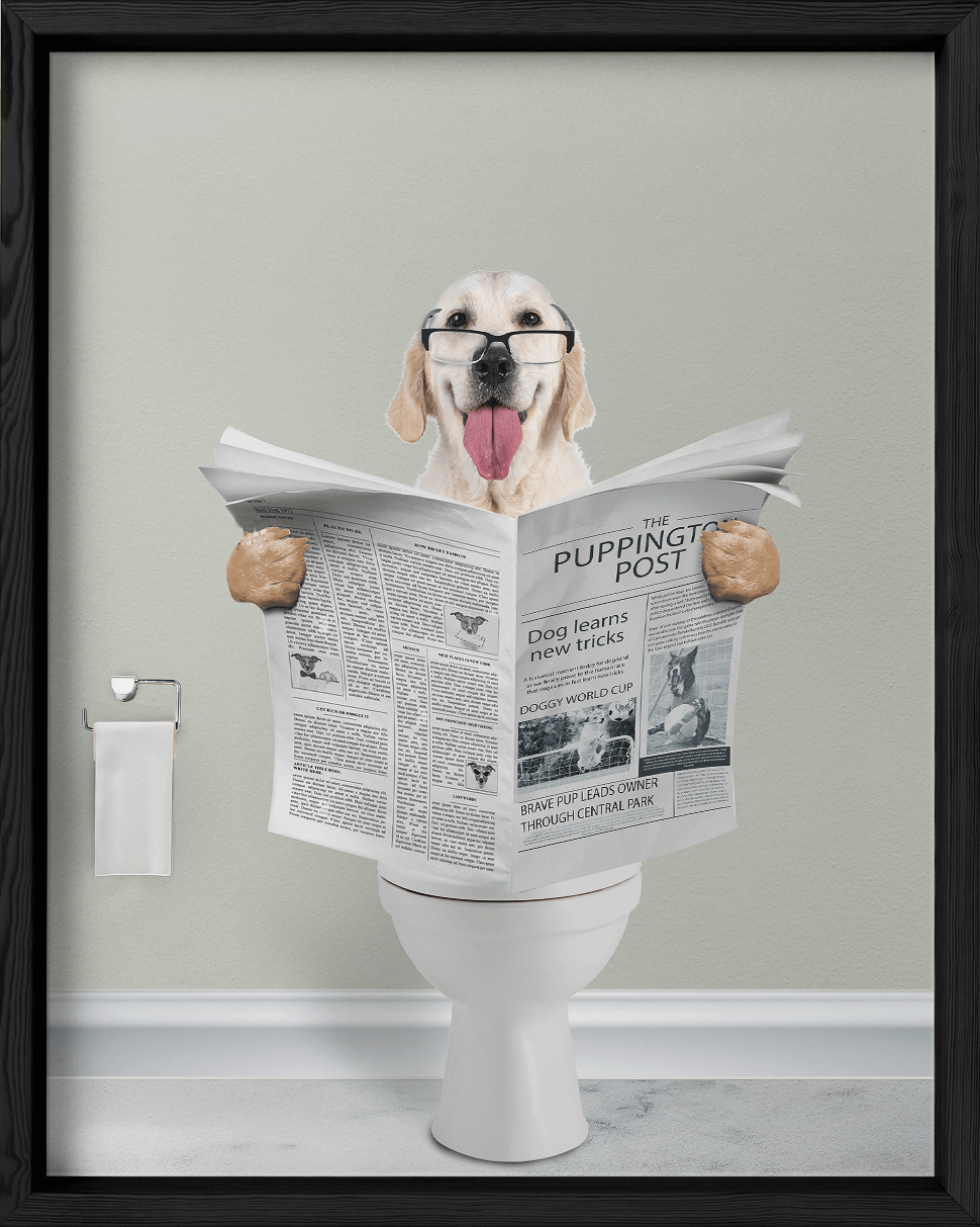 Reading The News - Fairlight Co