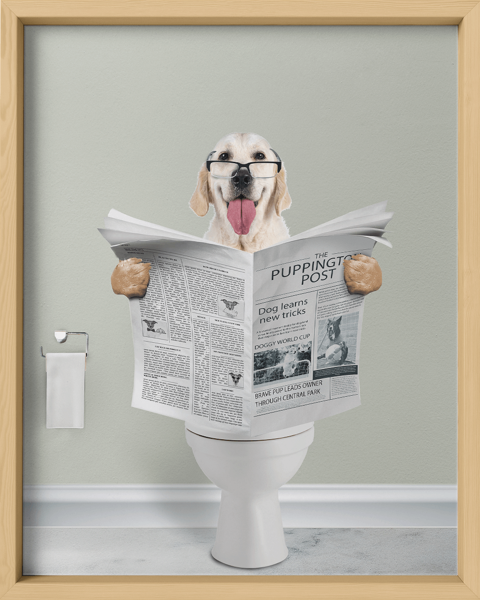 Reading The News - Fairlight Co