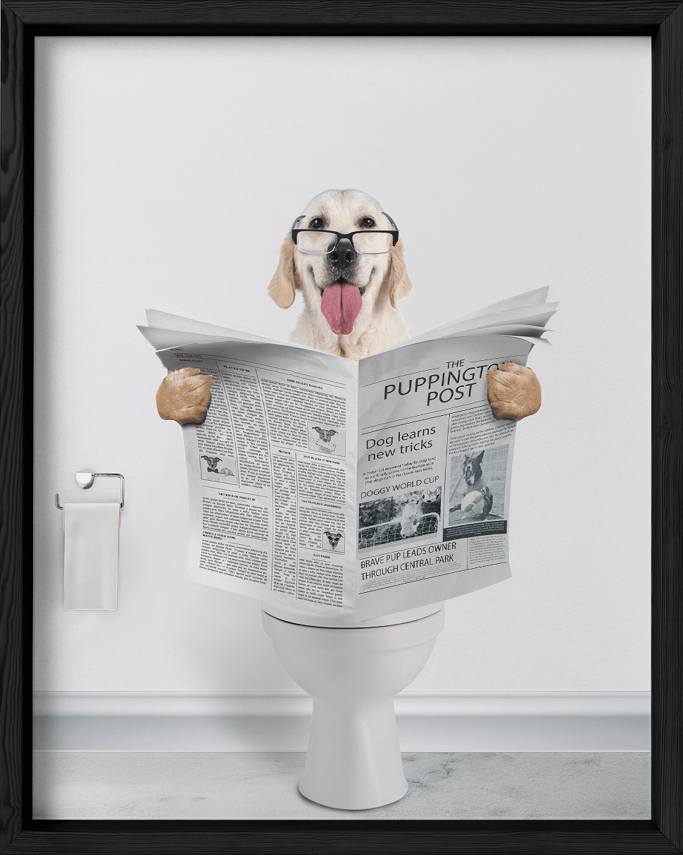 Reading The News - Fairlight Co