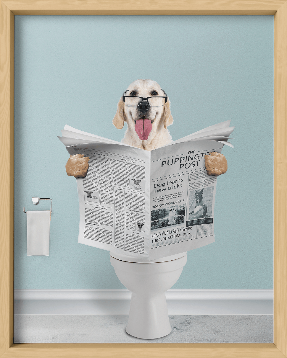 Reading The News - Fairlight Co