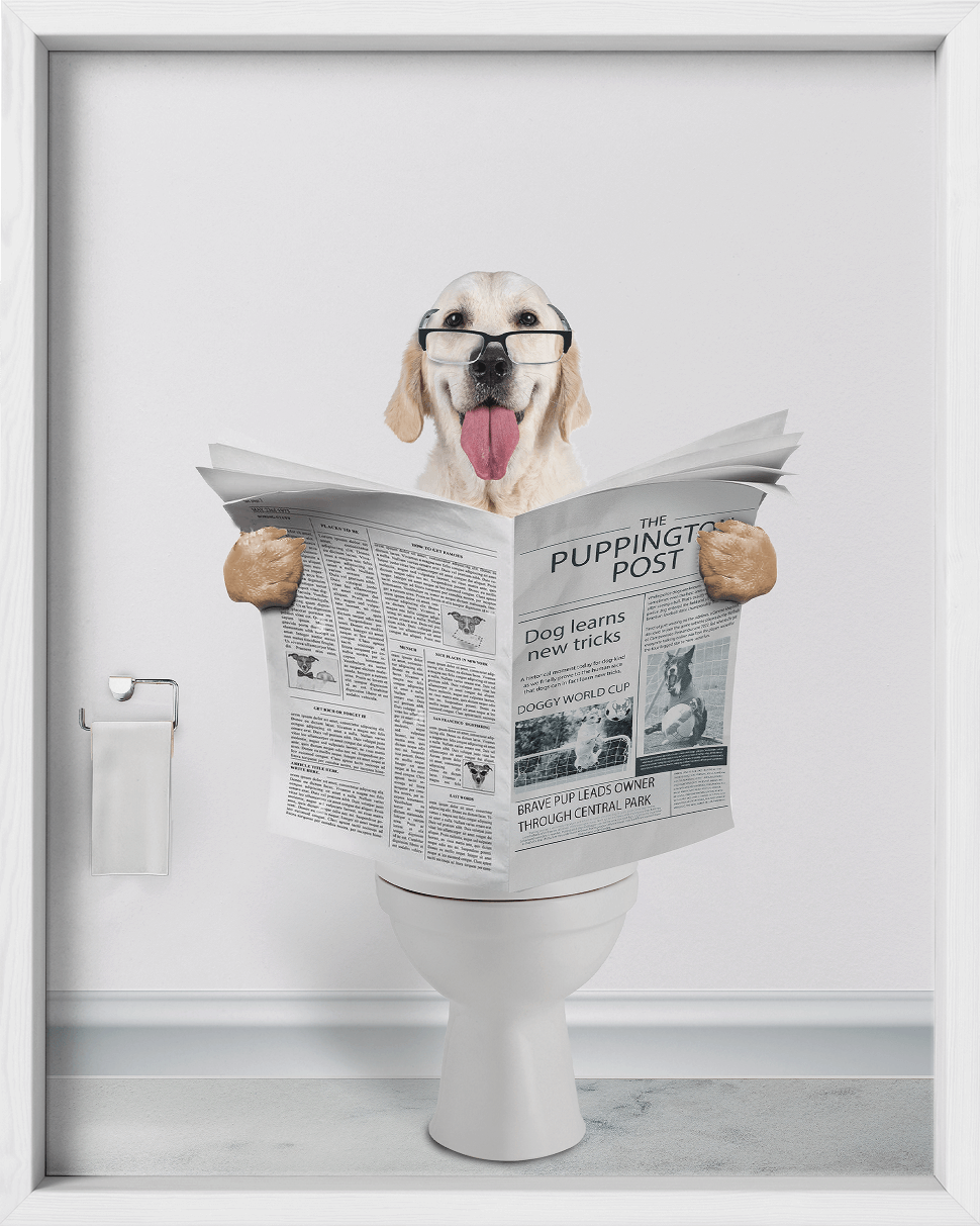 Reading The News - Fairlight Co