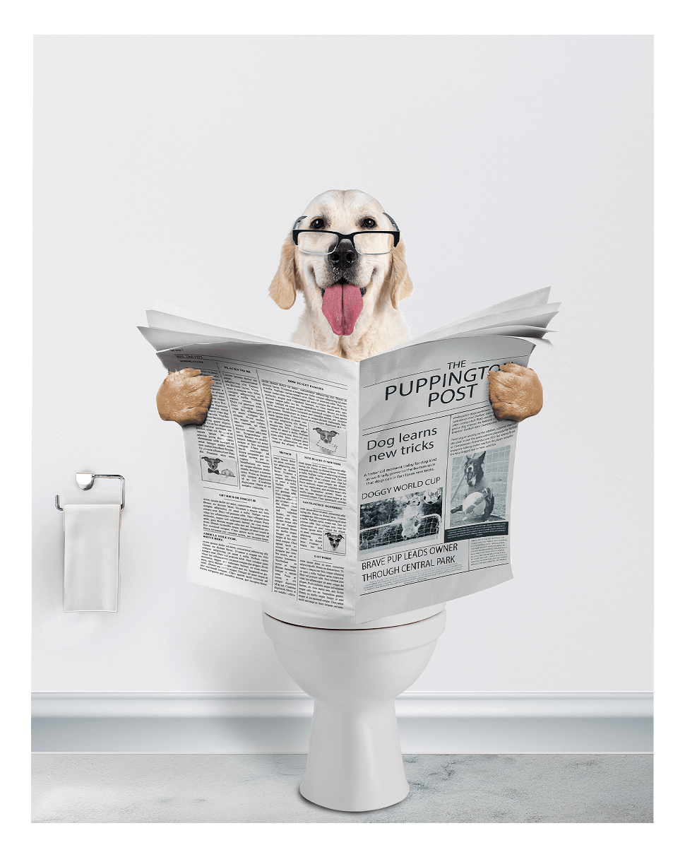 Reading The News - Fairlight Co