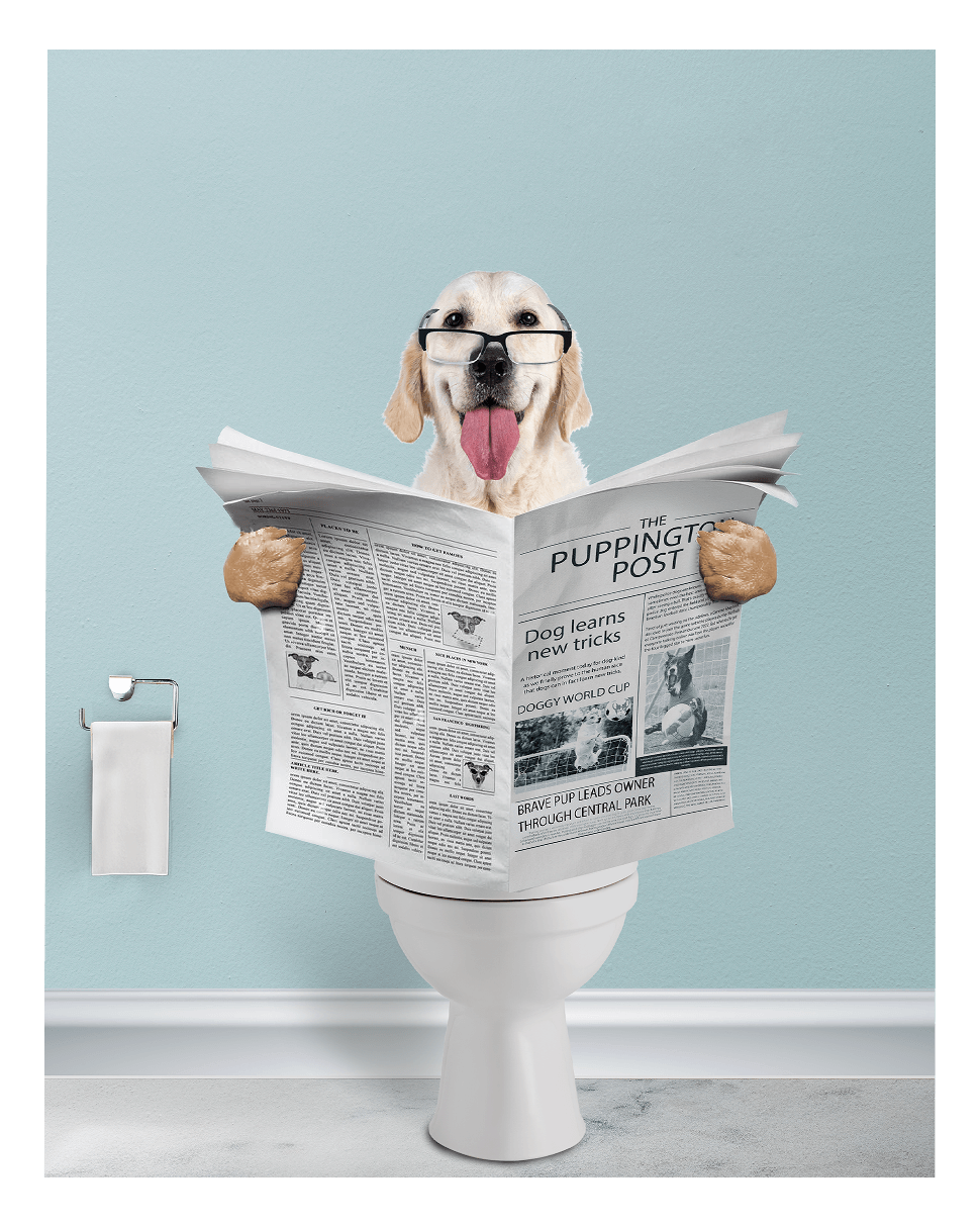 Reading The News - Fairlight Co