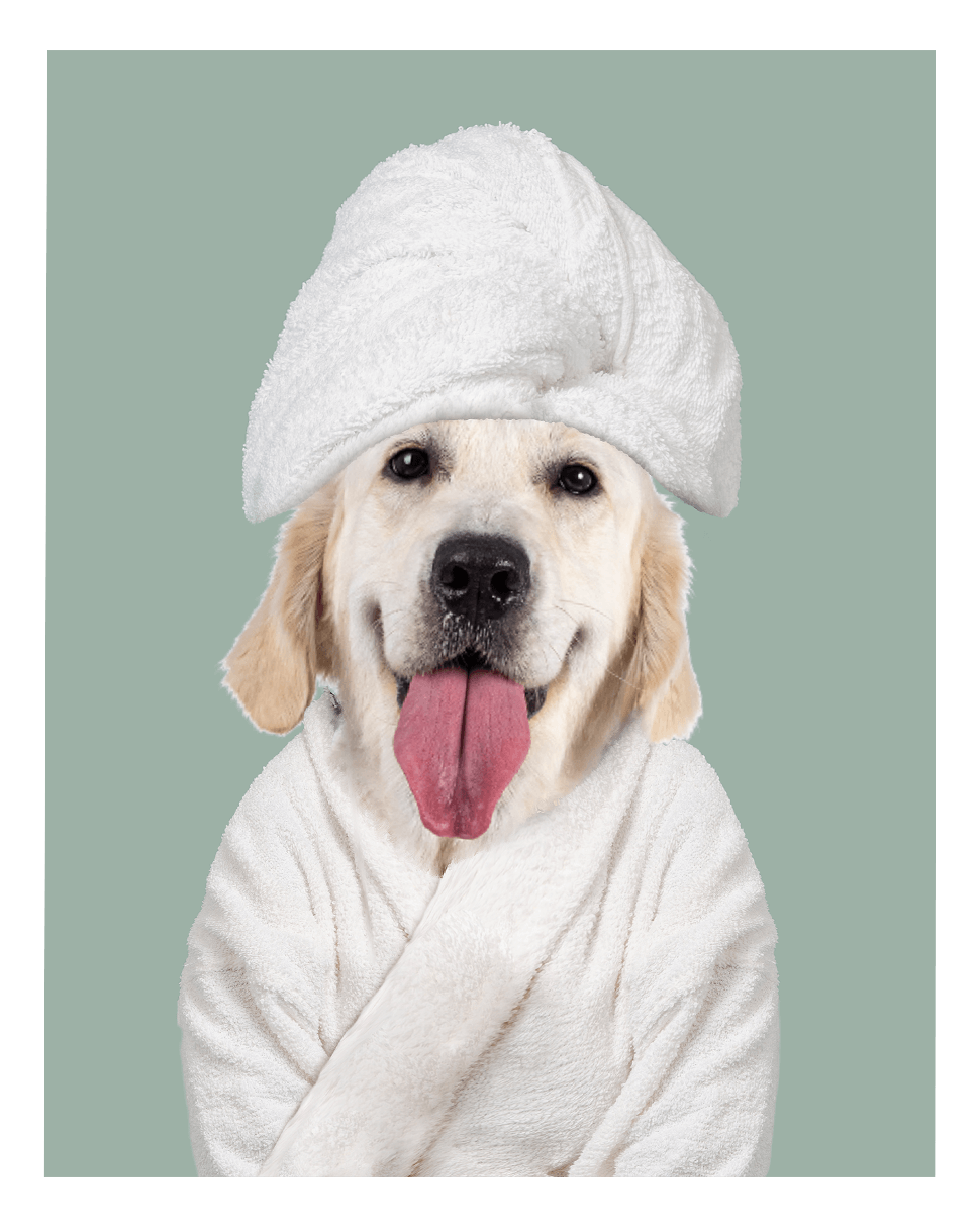 Custom Spa Towel Pet Portrait - Fairlight Co
