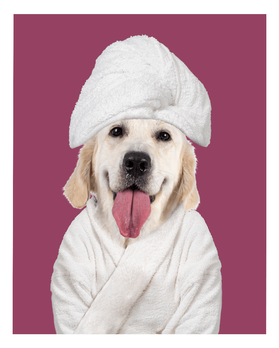 Custom Spa Towel Pet Portrait - Fairlight Co