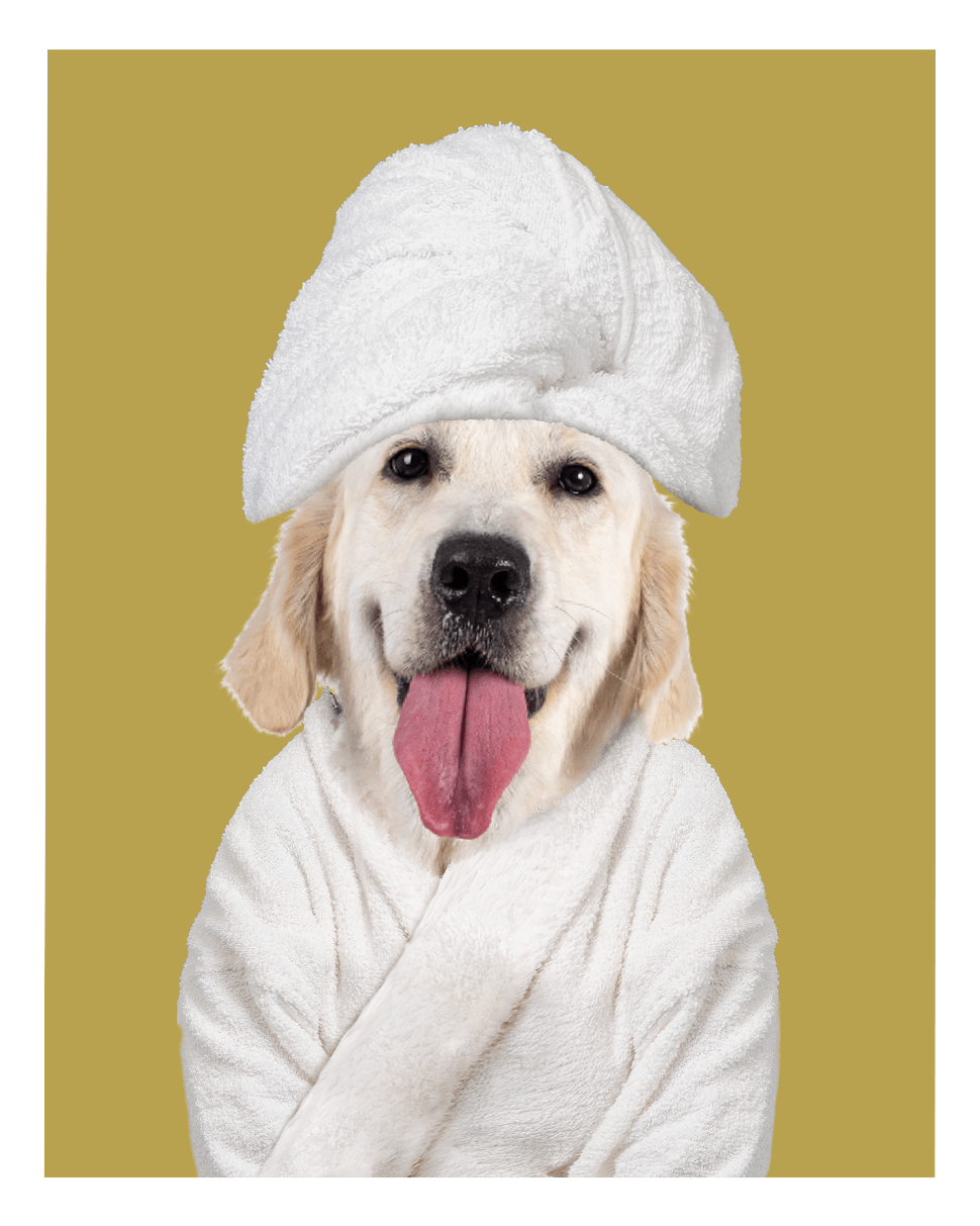 Custom Spa Towel Pet Portrait - Fairlight Co