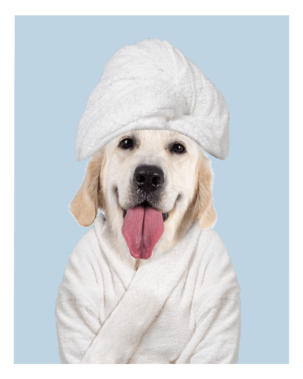 Custom Spa Towel Pet Portrait - Fairlight Co