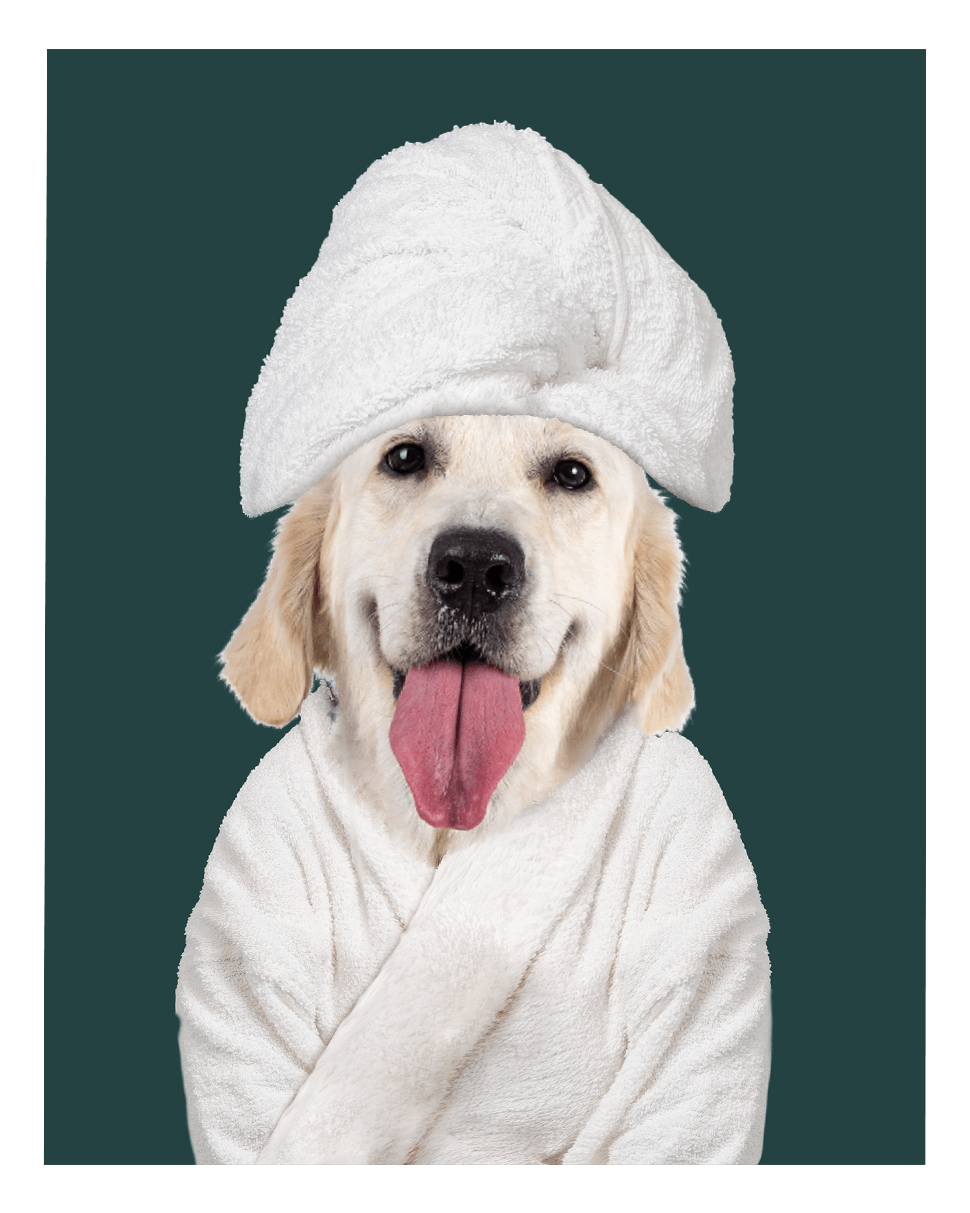 Custom Spa Towel Pet Portrait - Fairlight Co
