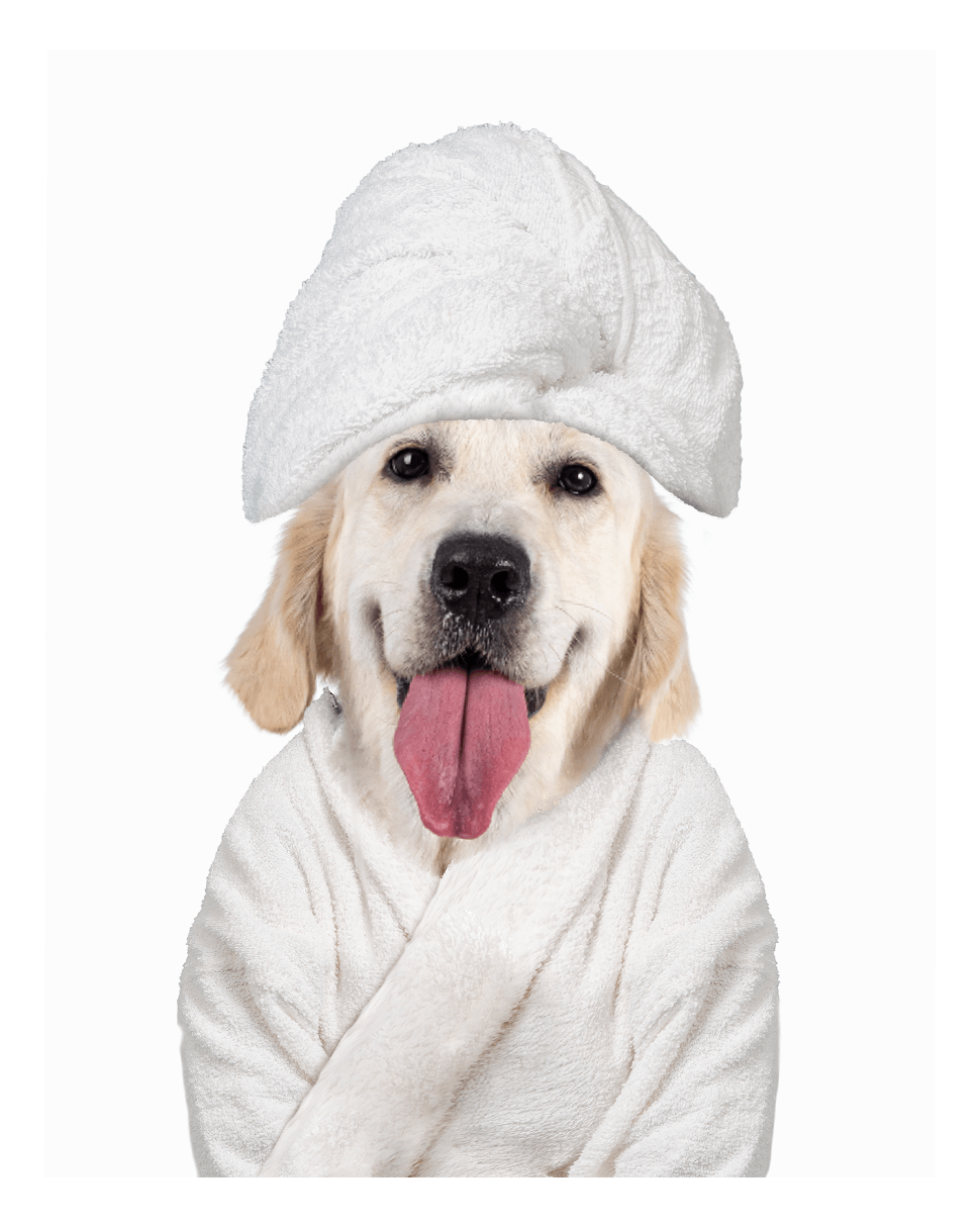 Custom Spa Towel Pet Portrait - Fairlight Co