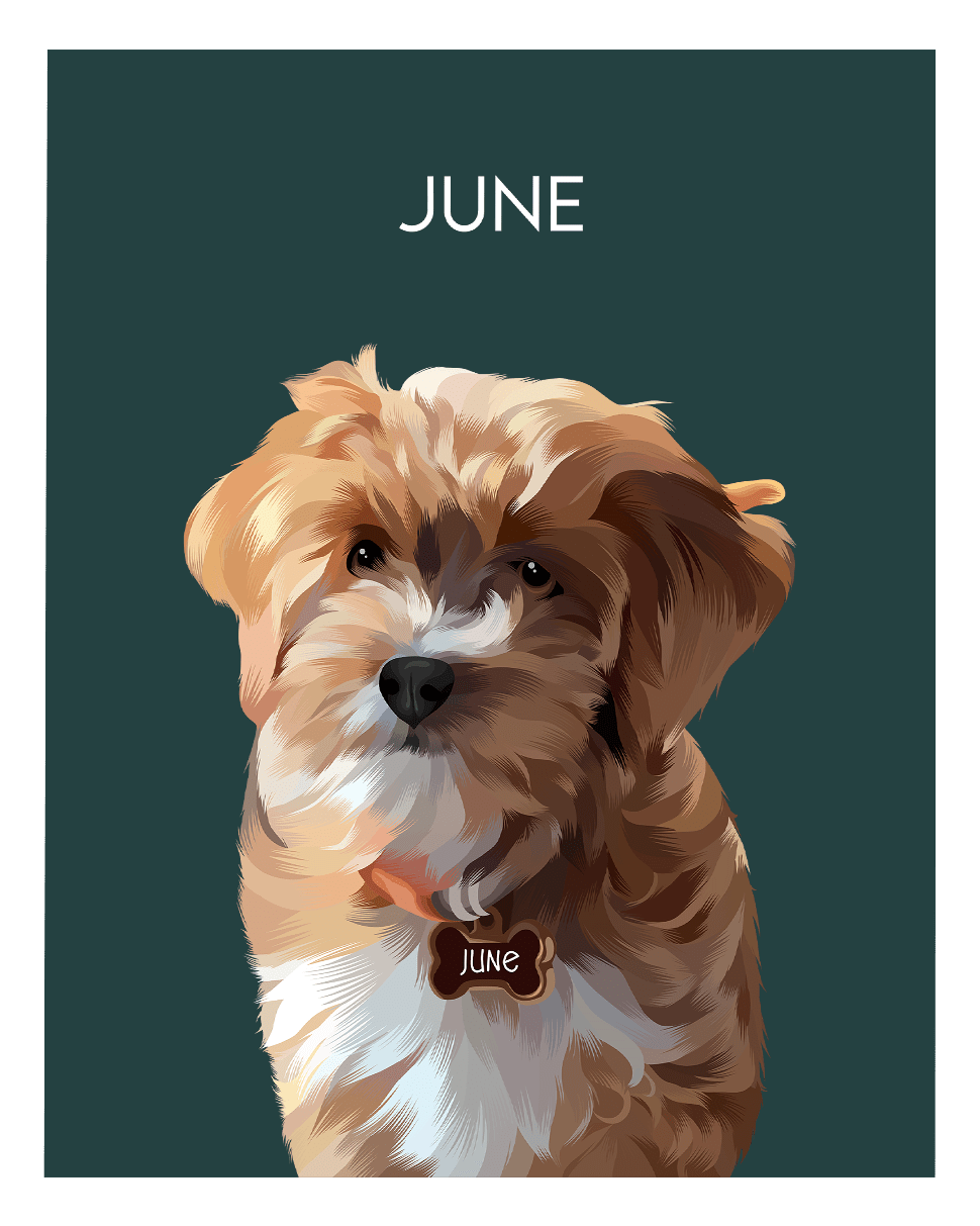 Custom Pet Portraits - Fairlight Co